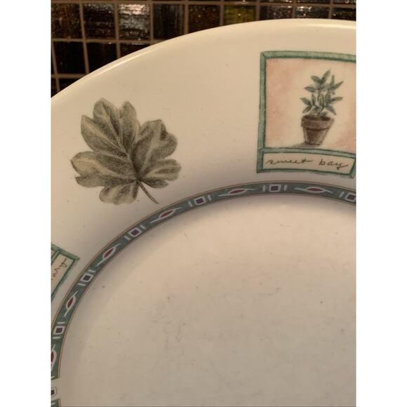 Pfaltzgraff Portfolio Naturewood Dinner Plate Set Of Two 11 Inch Garden - Picture 3 of 5